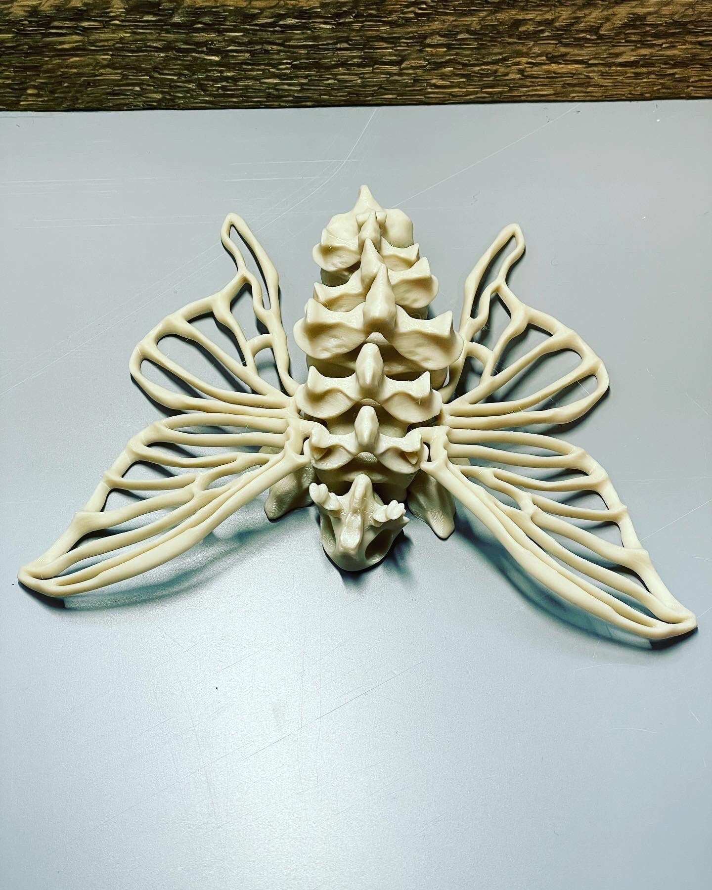 Articulated Bone Moth - 3D Printed. Premium Colors! Cute and Creepy Moth Skeleton!
