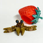 Adorable Strawberry Crab! Cute 3D Printed Under the Sea desk pet.